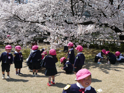 桜を見てはしゃぐ園児達