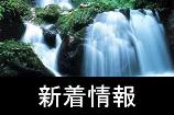 新茶j区