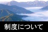 制度