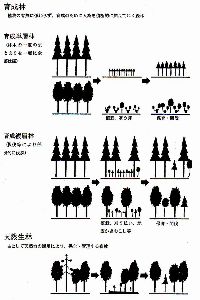 福井県の森林整備の目標図