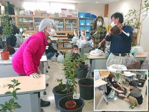 北陸新幹線延伸記念 ブルーベリーの鉢植え体験