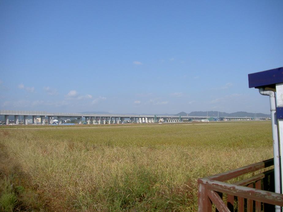 R2年12月高架橋（福井市下河北）