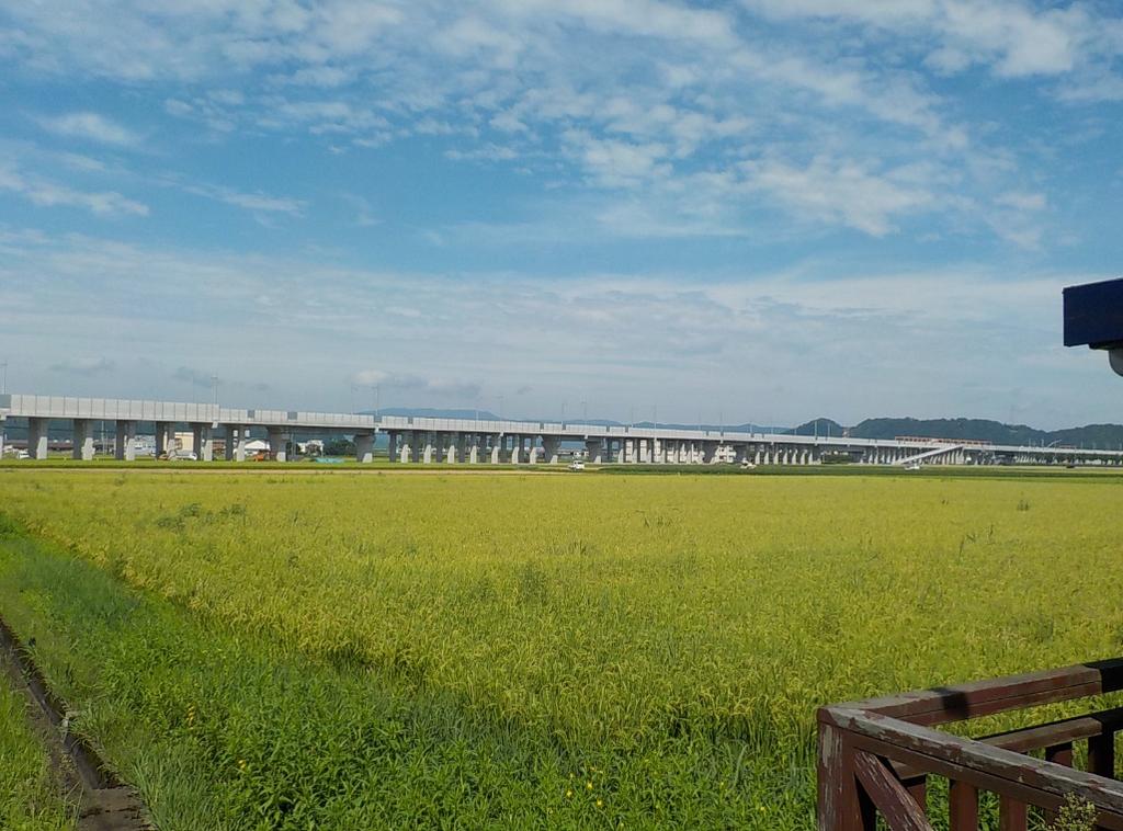 R3年9月高架橋（福井市下河北）