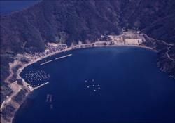 神子漁港
