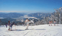 Skiing Grounds