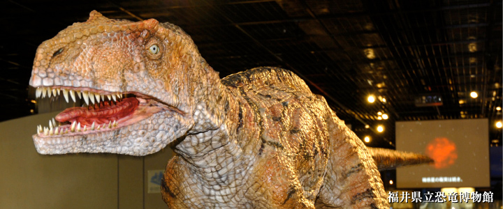 福井県恐竜博物館(恐竜模型)
