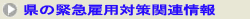 県の緊急雇用対策