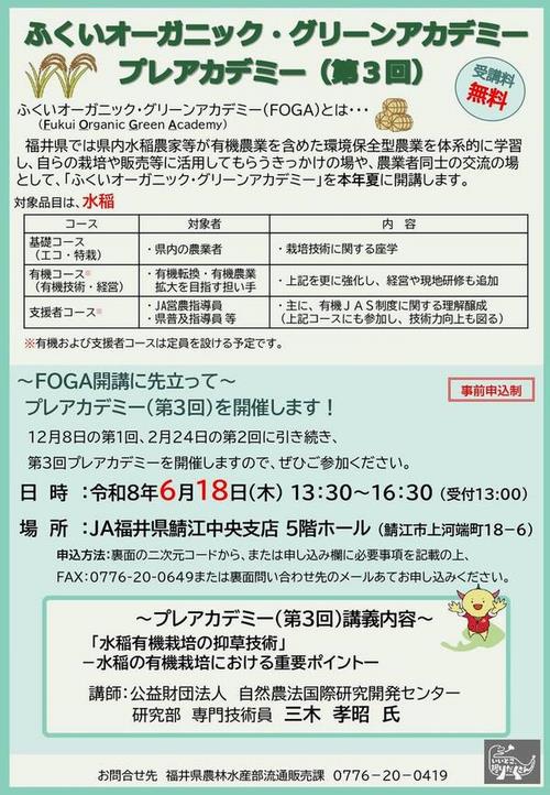 チラシ表面