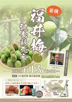 ume