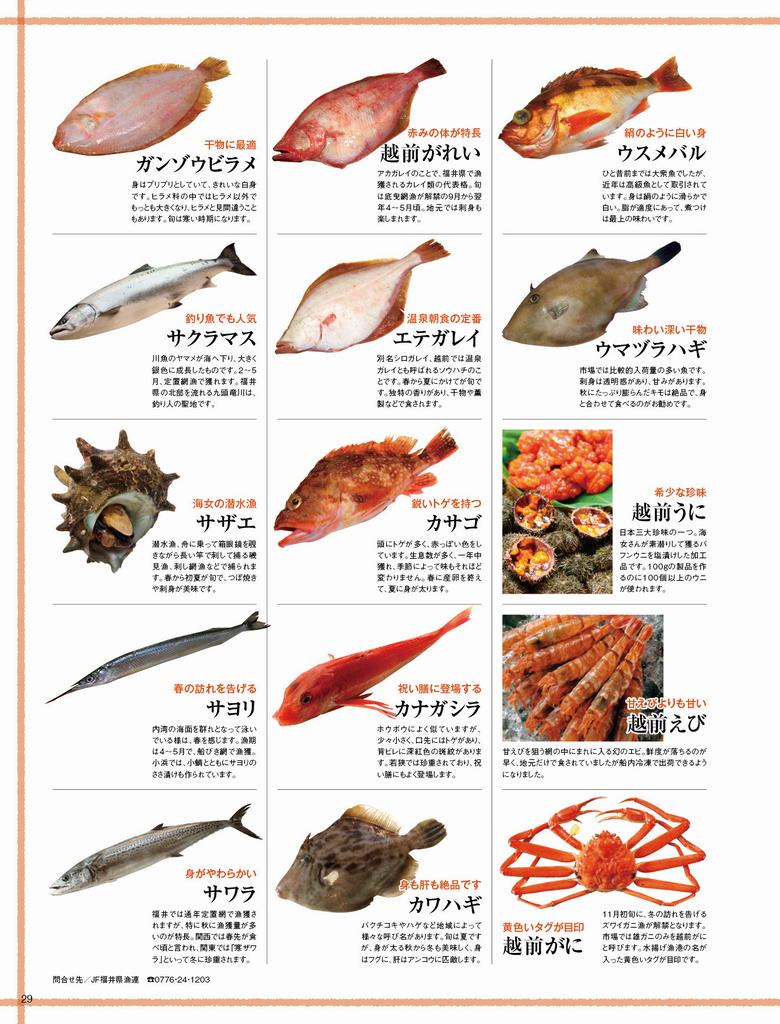 旬の里ふくい ふくいお魚図鑑 福井県ホームページ