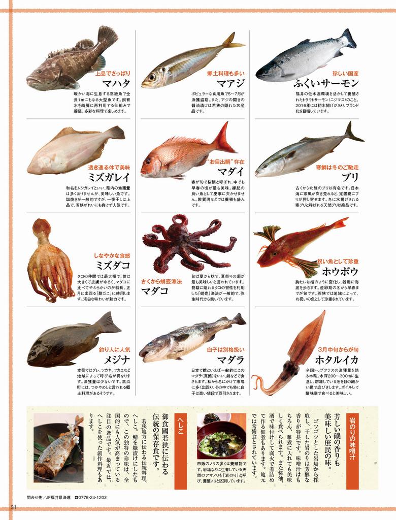 旬の里ふくい ふくいお魚図鑑 福井県ホームページ