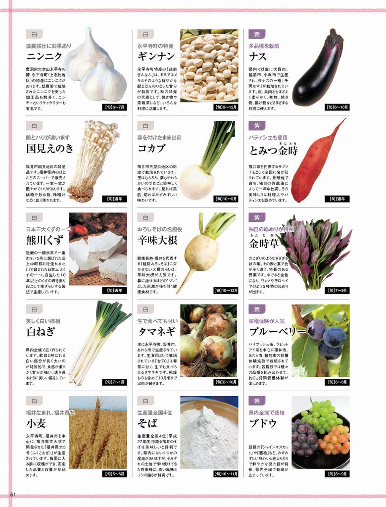 野菜図鑑4