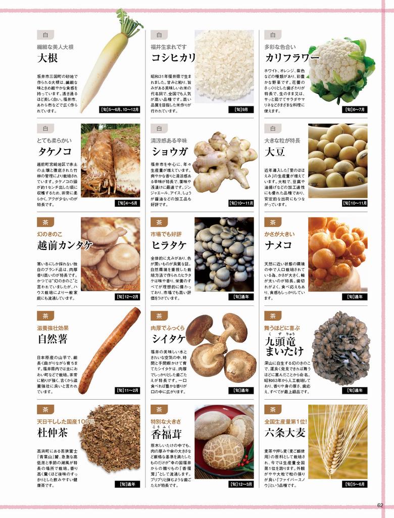 野菜図鑑5