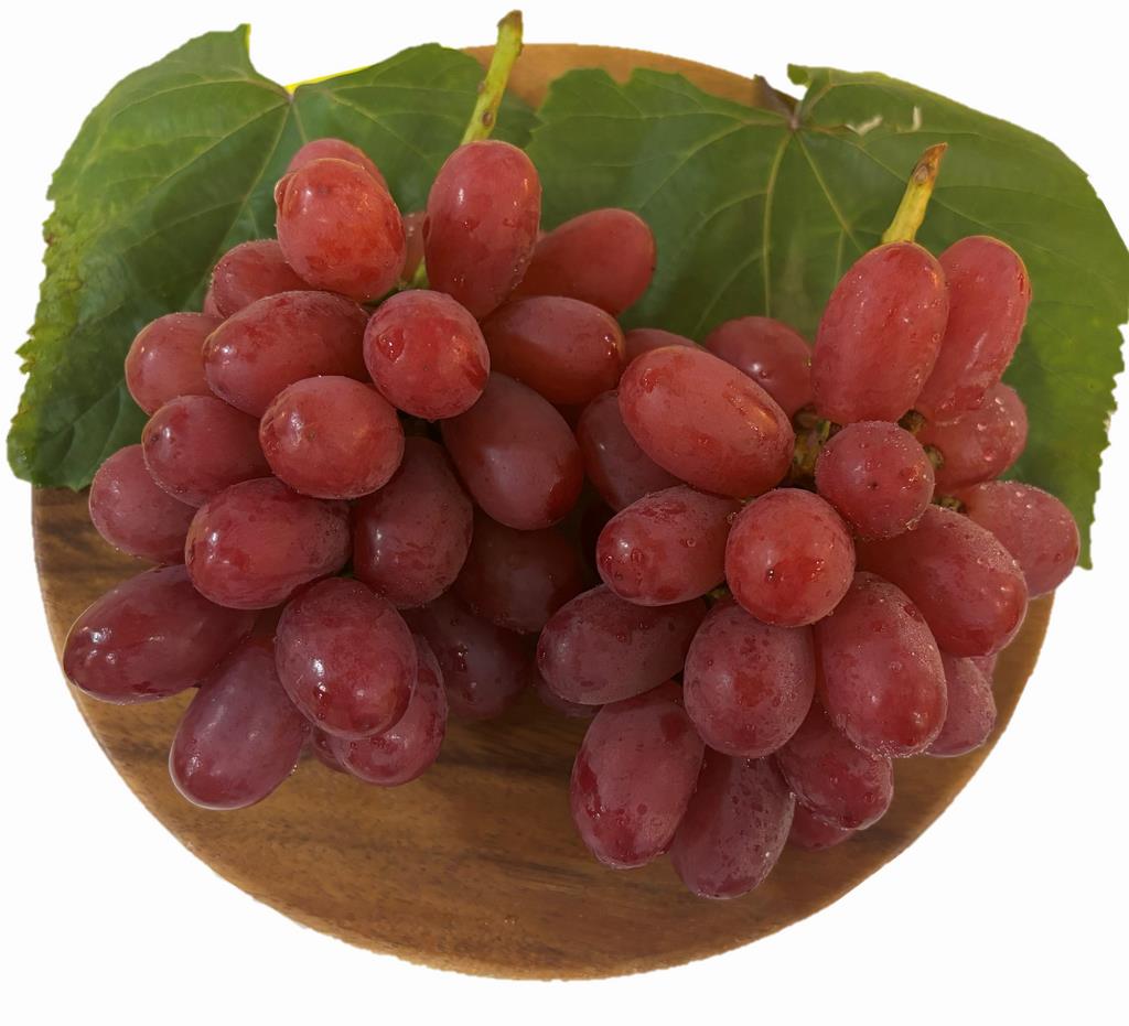 お皿2