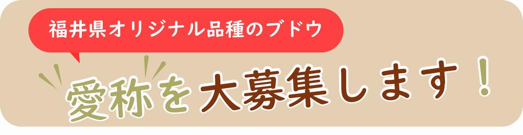 タイトル3
