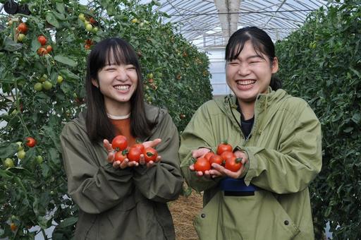 トマト-2人