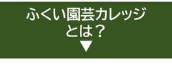 バナー・カレッジとは