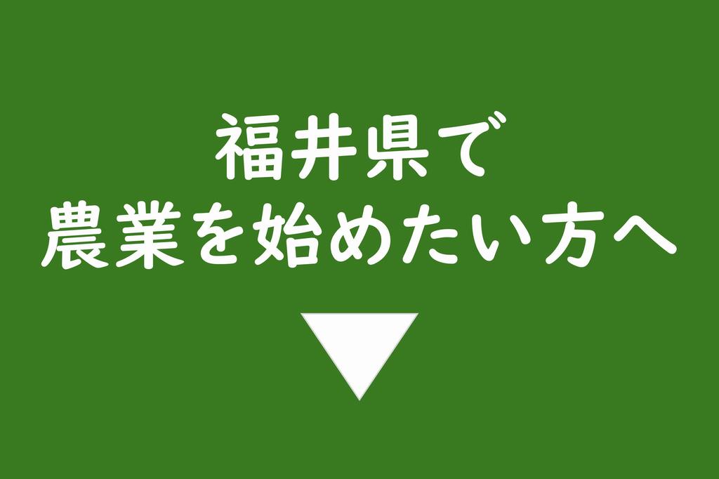 福井で農業