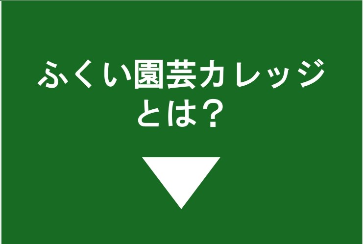 えんかれボタン