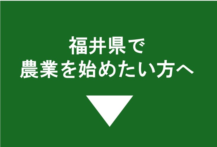 はじめたい