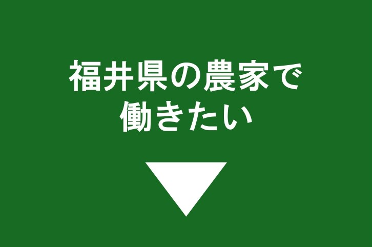 働きたい