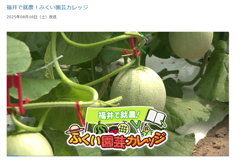 チャレンジャー
