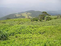 池田町部子山