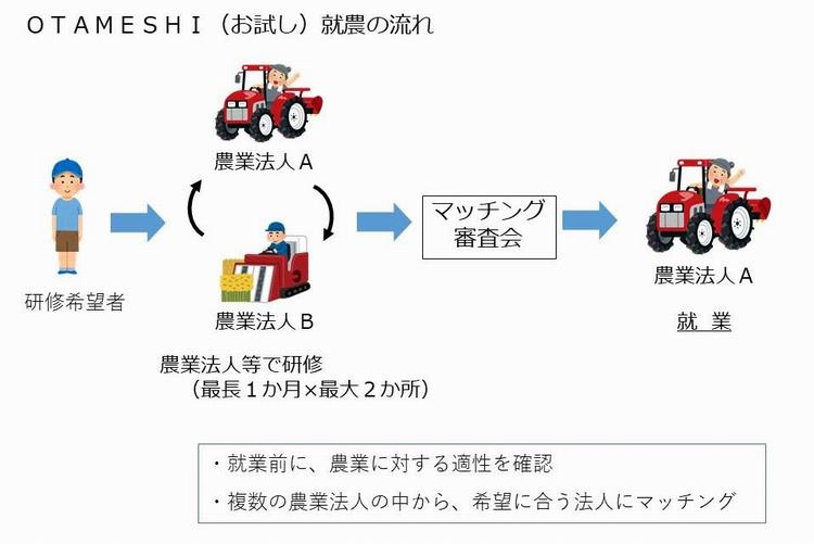 お試し就農（流れ）