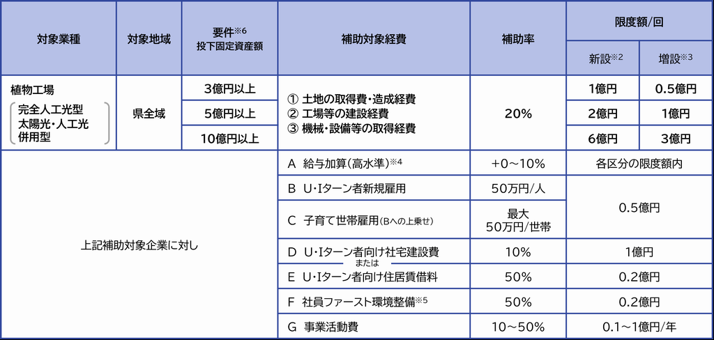補助内容の表