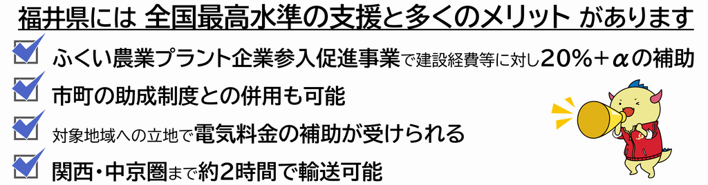 福井県メリット