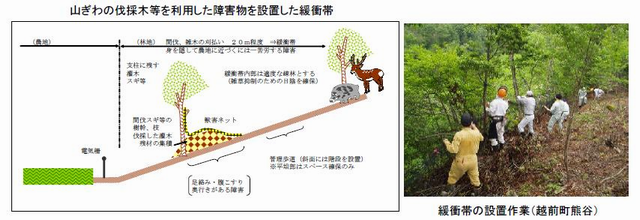 鳥獣害のない里づくりの活動