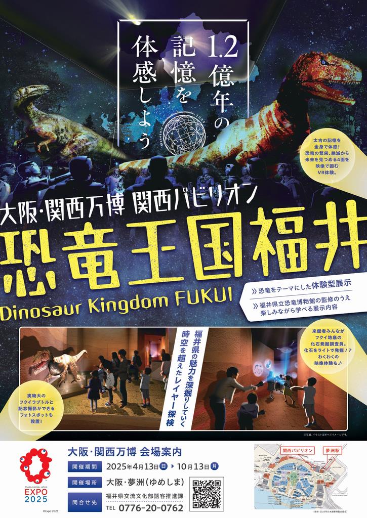 福井県ゾーンチラシ
