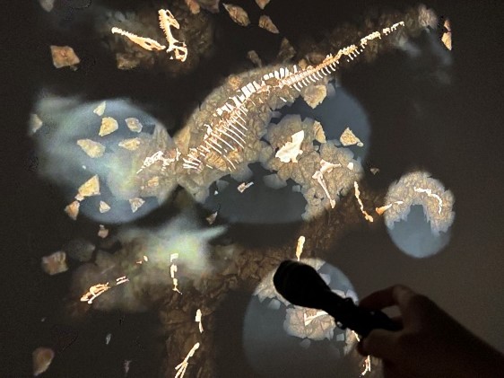 バーチャル化石発掘体験