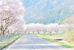佐分利街道（おおい町）