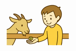エサやりイラスト