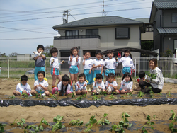 苗植え後みんなで記念撮影