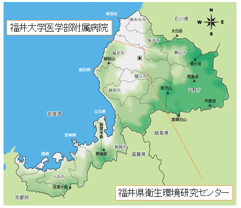 花粉と花粉症の基礎知識 福井県ホームページ