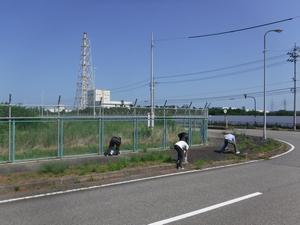 清掃活動の様子（１）