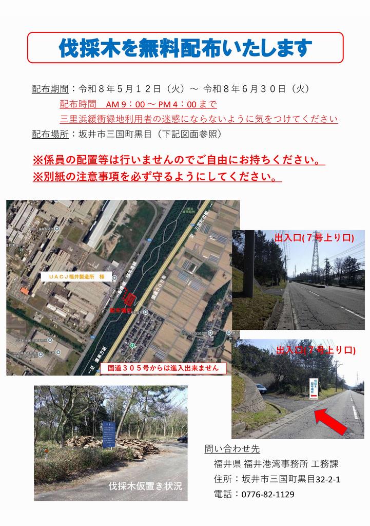 伐採木無料配布