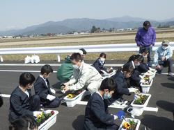 文殊小学校花植