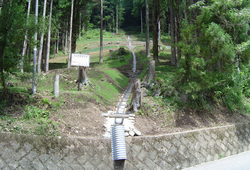 東市布