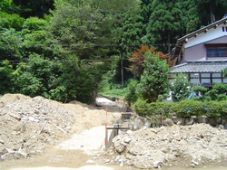 奥山1被1