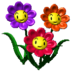 ４