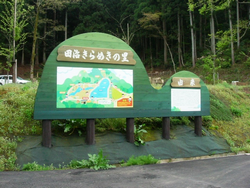 ９