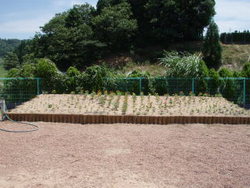 ２０