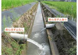 田んぼダム比較写真