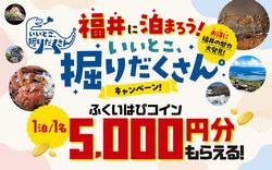いいとこ掘りだくさん