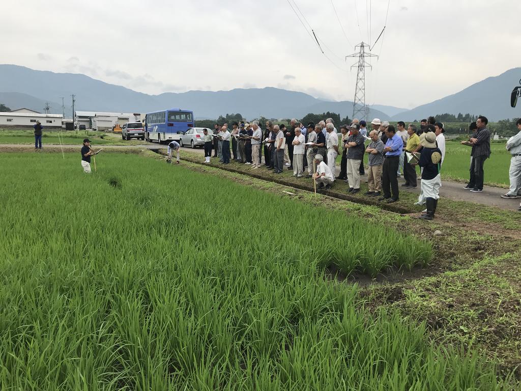 いちほまれ現地研修会