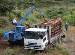 ふくいの森林・林業基本計画（高性能林業機械の導入による作業効率化）