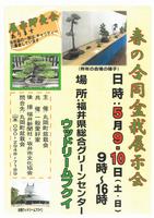 春の合同盆栽展示会